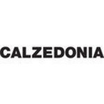 Calzedonia-Toruń